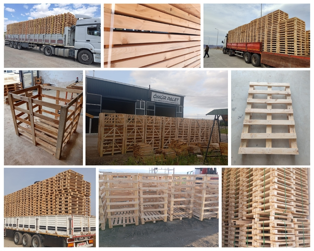 Alblasserdam Houten Kisten, Europallets Groothandel Kopen